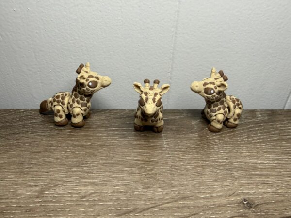 giraffe hatchling